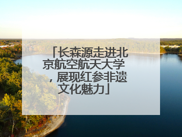 长森源走进北京航空航天大学，展现红参非遗文化魅力