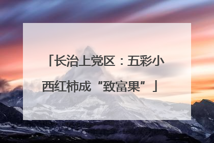 长治上党区：五彩小西红柿成“致富果”