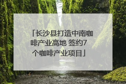 长沙县打造中南咖啡产业高地 签约7个咖啡产业项目