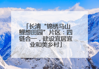 长清“锦绣马山 鲤想田园”片区：四链合一，建设宜居宜业和美乡村
