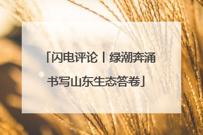 闪电评论丨绿潮奔涌 书写山东生态答卷