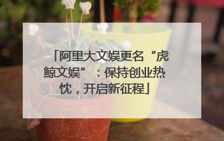 阿里大文娱更名“虎鲸文娱”：保持创业热忱，开启新征程