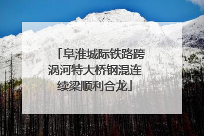 阜淮城际铁路跨涡河特大桥钢混连续梁顺利合龙