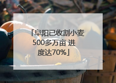 阜阳已收割小麦500多万亩 进度达70%