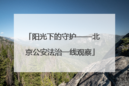 阳光下的守护——北京公安法治一线观察