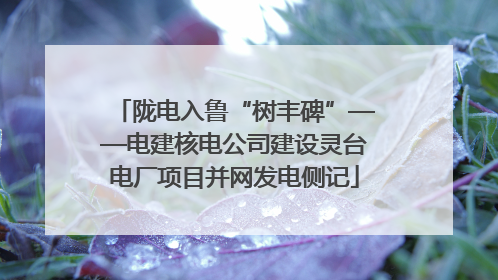 陇电入鲁“树丰碑”——电建核电公司建设灵台电厂项目并网发电侧记