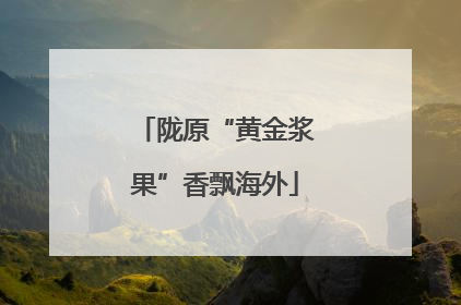 陇原“黄金浆果”香飘海外