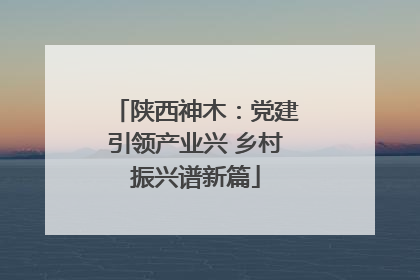 陕西神木：党建引领产业兴 乡村振兴谱新篇