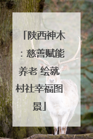 陕西神木：慈善赋能养老 绘就村社幸福图景