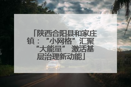 陕西合阳县和家庄镇：“小网格”汇聚“大能量” 激活基层治理新动能
