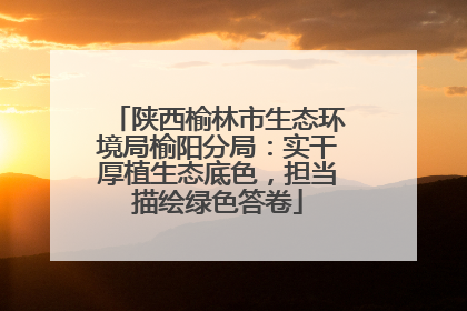 陕西榆林市生态环境局榆阳分局：实干厚植生态底色，担当描绘绿色答卷