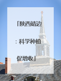 陕西靖边：科学种植促增收