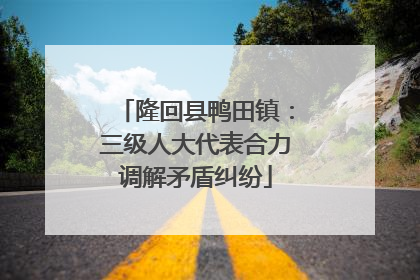 隆回县鸭田镇：三级人大代表合力调解矛盾纠纷
