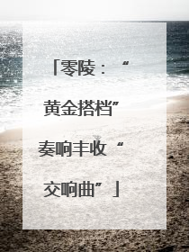 零陵：“黄金搭档”奏响丰收“交响曲”