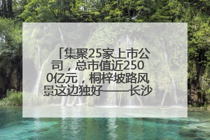 集聚25家上市公司，总市值近2500亿元，桐梓坡路风景这边独好——长沙有条“上市路”