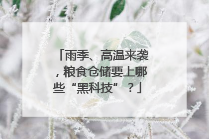 雨季、高温来袭，粮食仓储要上哪些“黑科技”？