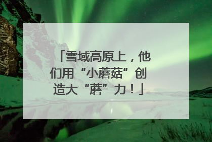 雪域高原上，他们用“小蘑菇”创造大“蘑”力！