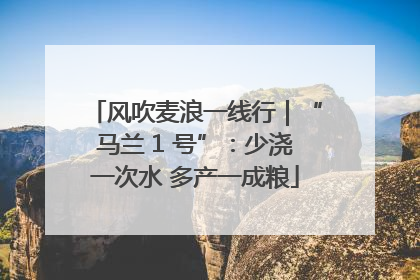 风吹麦浪一线行｜“马兰 1 号”：少浇一次水 多产一成粮