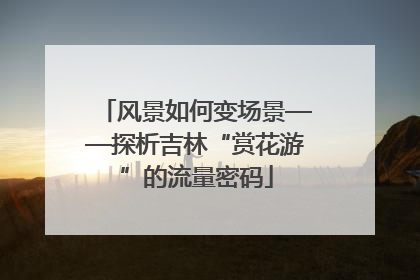 风景如何变场景——探析吉林“赏花游”的流量密码