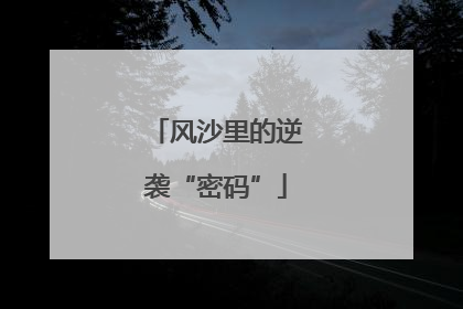 风沙里的逆袭“密码”