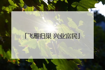 飞雁归巢 兴业富民
