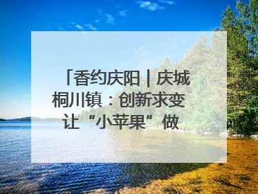 香约庆阳｜庆城桐川镇：创新求变 让“小苹果”做成“大产业”