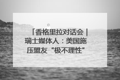 香格里拉对话会｜瑞士媒体人：美国施压盟友“极不理性” 欧洲国家无意与中国“脱钩断链”