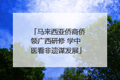马来西亚侨商侨领广西研修 学中医看非遗谋发展