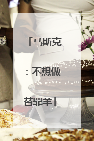马斯克：不想做替罪羊