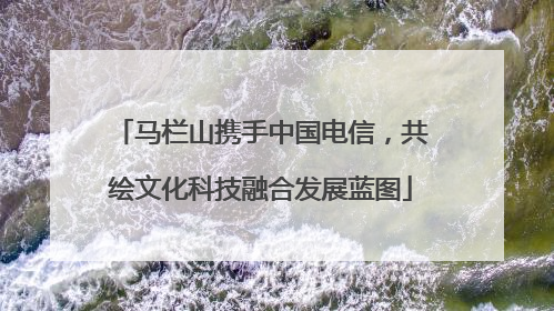 马栏山携手中国电信，共绘文化科技融合发展蓝图