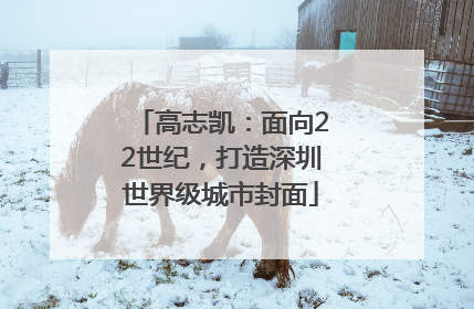 高志凯：面向22世纪，打造深圳世界级城市封面