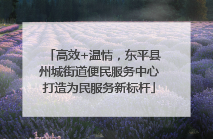 高效+温情，东平县州城街道便民服务中心打造为民服务新标杆