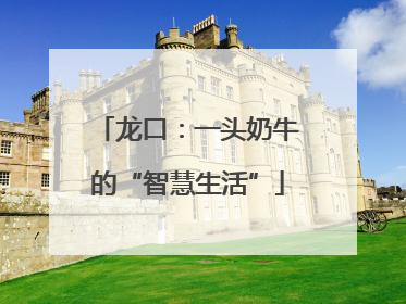 龙口：一头奶牛的“智慧生活”