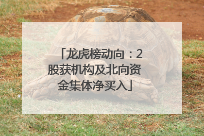 龙虎榜动向：2股获机构及北向资金集体净买入