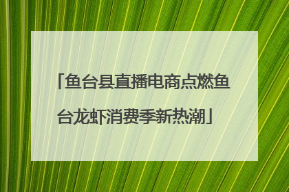 鱼台县直播电商点燃鱼台龙虾消费季新热潮