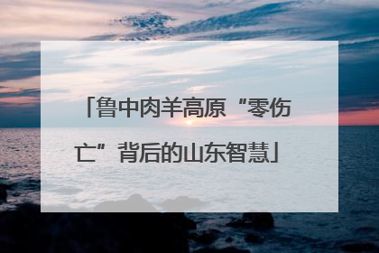 鲁中肉羊高原“零伤亡”背后的山东智慧