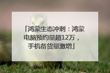 鸿蒙生态冲刺：鸿蒙电脑预约量超12万，手机备货量激增