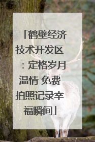 鹤壁经济技术开发区：定格岁月温情 免费拍照记录幸福瞬间