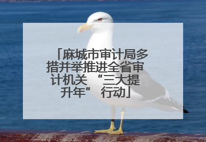 麻城市审计局多措并举推进全省审计机关 “三大提升年” 行动