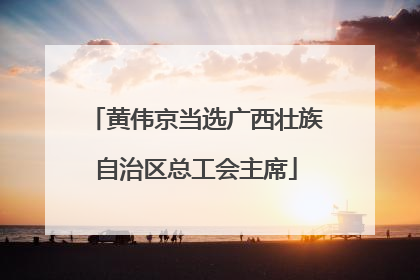 黄伟京当选广西壮族自治区总工会主席