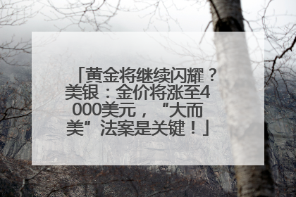 黄金将继续闪耀？美银：金价将涨至4000美元，“大而美”法案是关键！