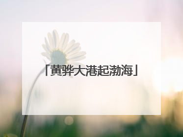黄骅大港起渤海