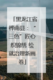 黑龙江省桦南县：“三色”匠心织锦绣 绘就治理新画卷