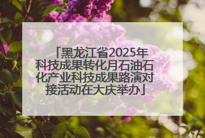 黑龙江省2025年科技成果转化月石油石化产业科技成果路演对接活动在大庆举办