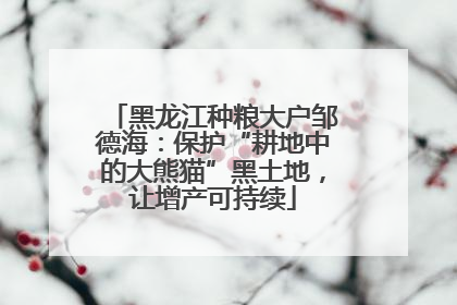 黑龙江种粮大户邹德海：保护“耕地中的大熊猫”黑土地，让增产可持续