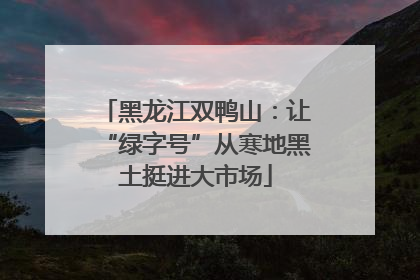 黑龙江双鸭山：让“绿字号”从寒地黑土挺进大市场