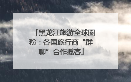 黑龙江旅游全球圈粉：各国旅行商“群聊”合作揽客