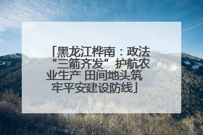黑龙江桦南：政法“三箭齐发”护航农业生产 田间地头筑牢平安建设防线