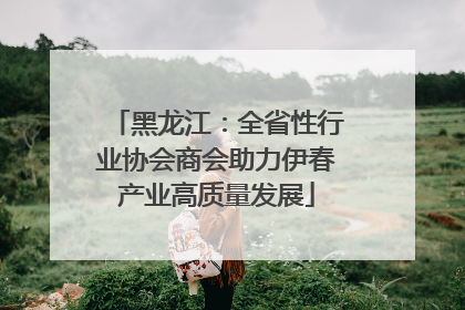 黑龙江：全省性行业协会商会助力伊春产业高质量发展