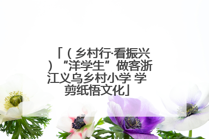 （乡村行·看振兴）“洋学生”做客浙江义乌乡村小学 学剪纸悟文化